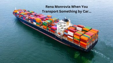 rena-monrovia-when-you-transport-something-by-car